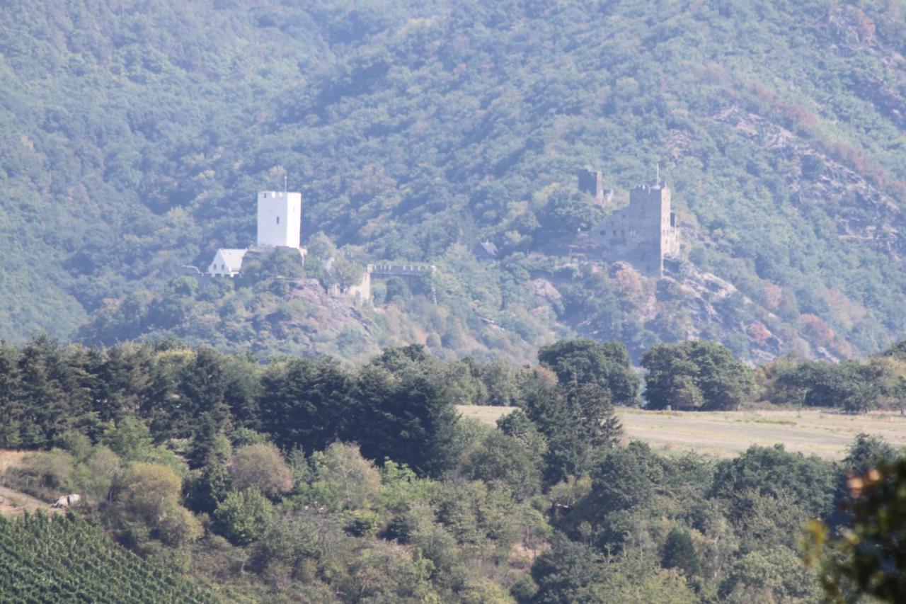 Ferienwohnungen Arnold Boppard Ngoại thất bức ảnh