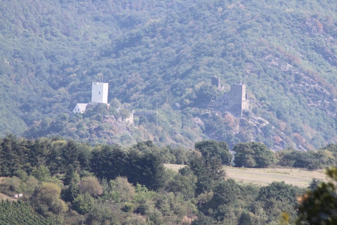 Ferienwohnungen Arnold Boppard Ngoại thất bức ảnh